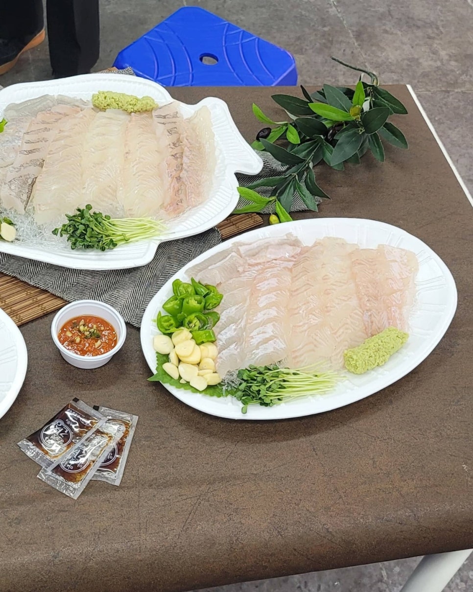 회조아 이미지