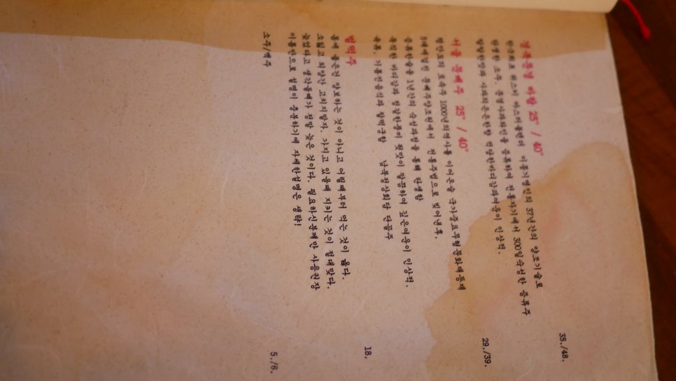 전사랑 이미지