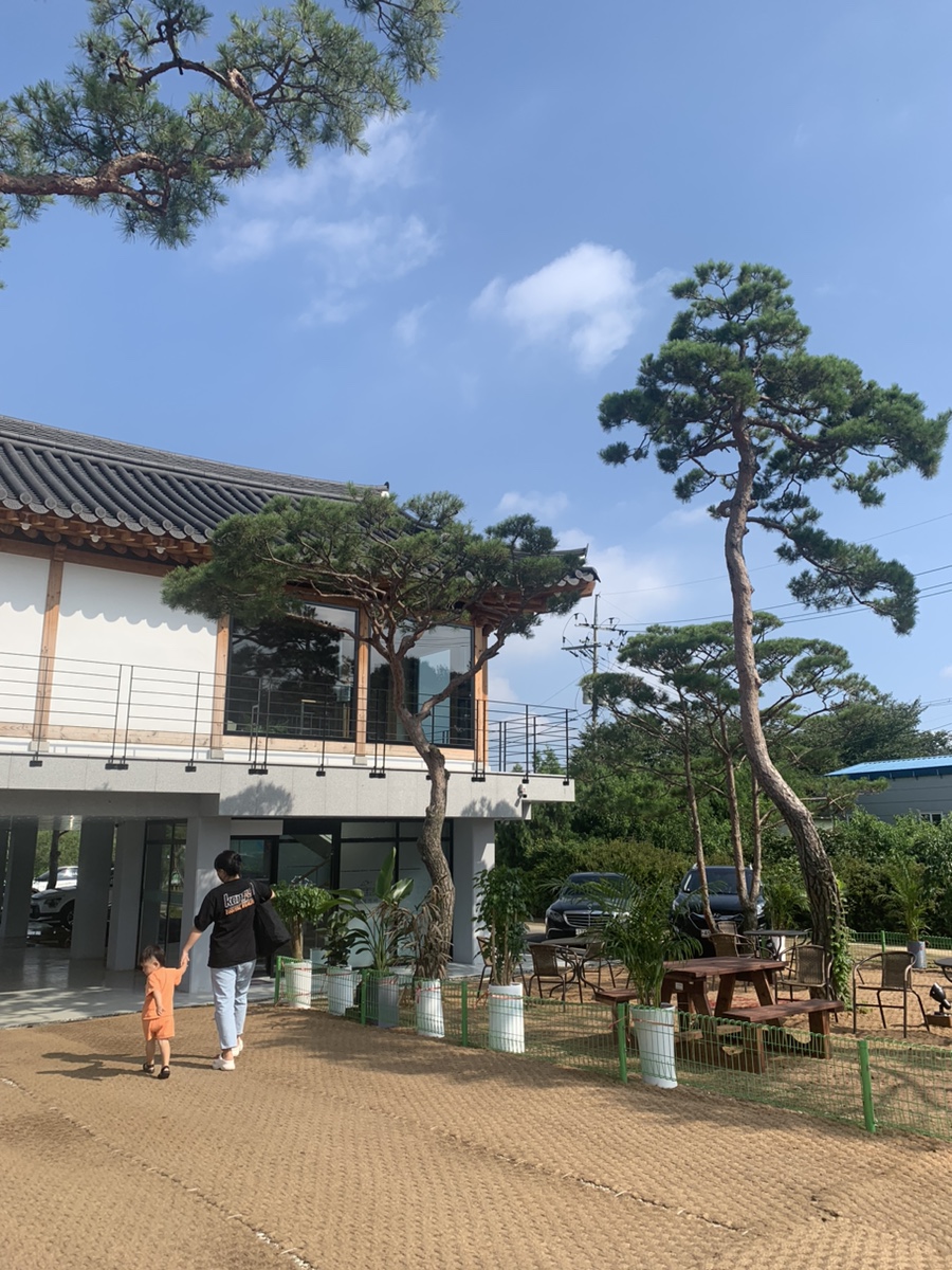 초평가배 이미지