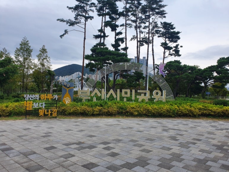 도마샌드 이미지
