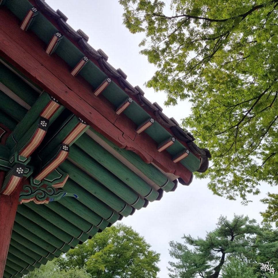 건국JM 이미지