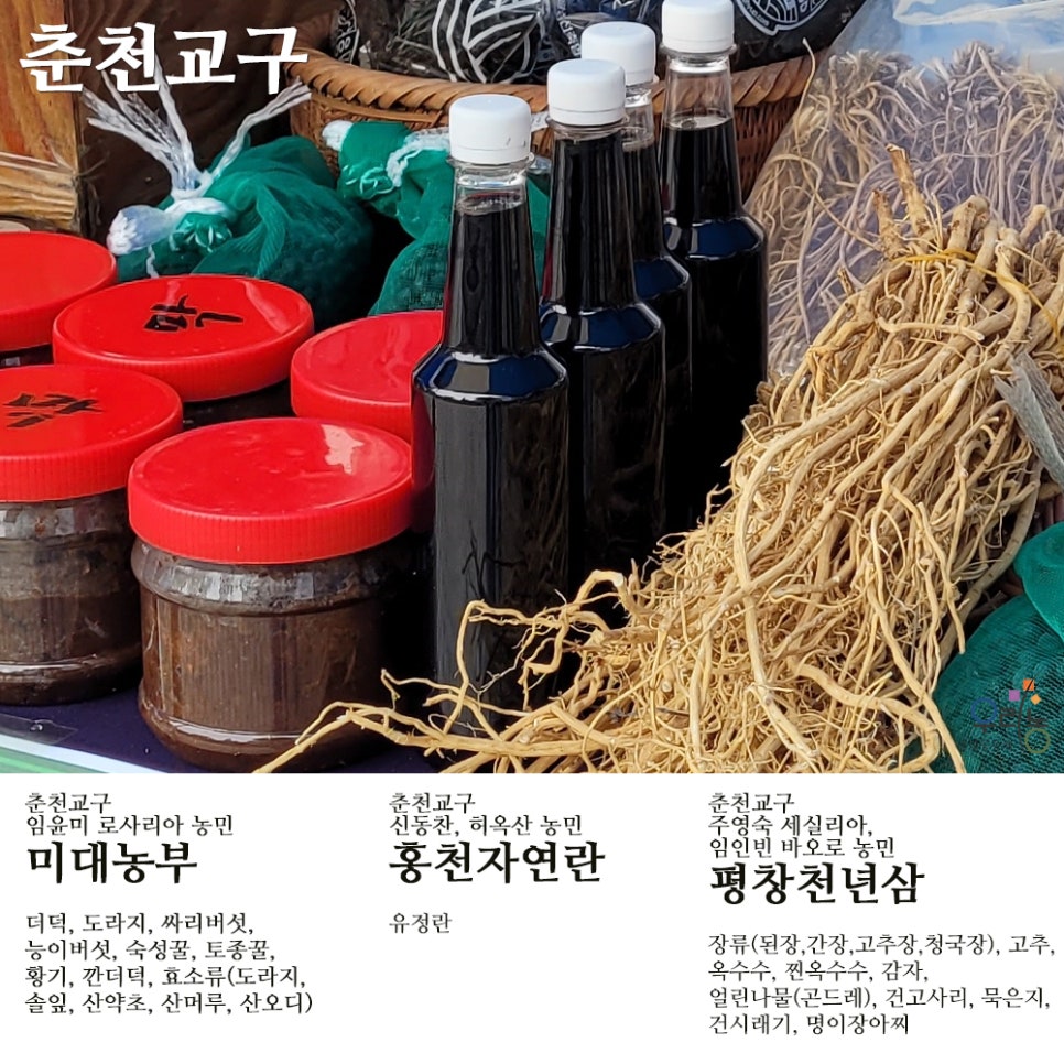 평창천년삼 이미지