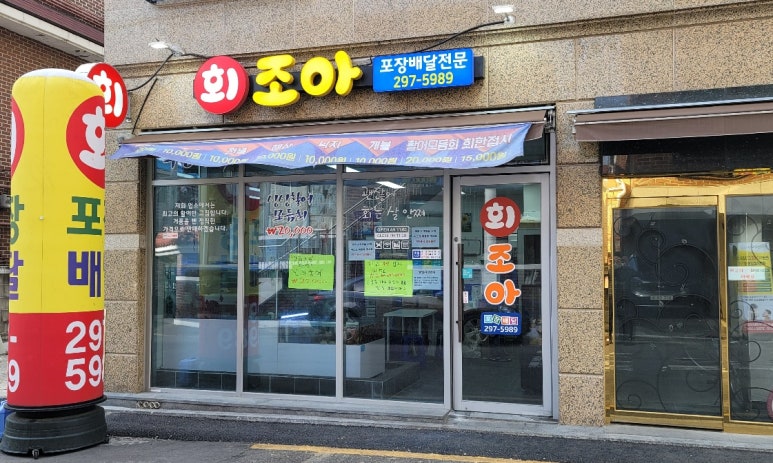 회조아 이미지
