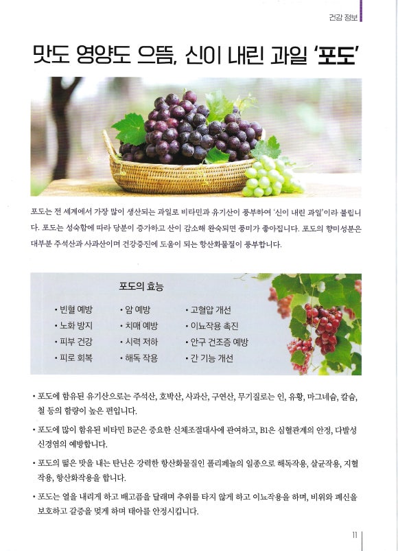 인천요양보호사교육원 이미지
