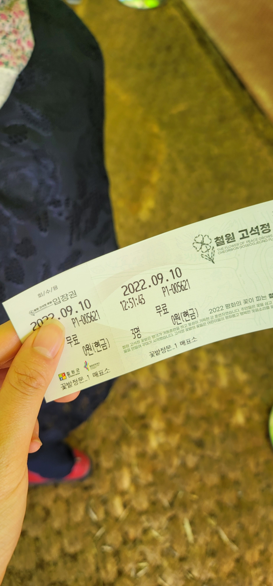 파머킴스 이미지