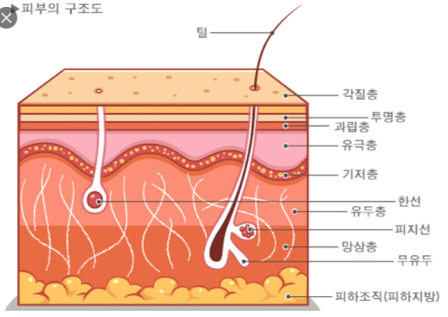 케이엠구조 이미지
