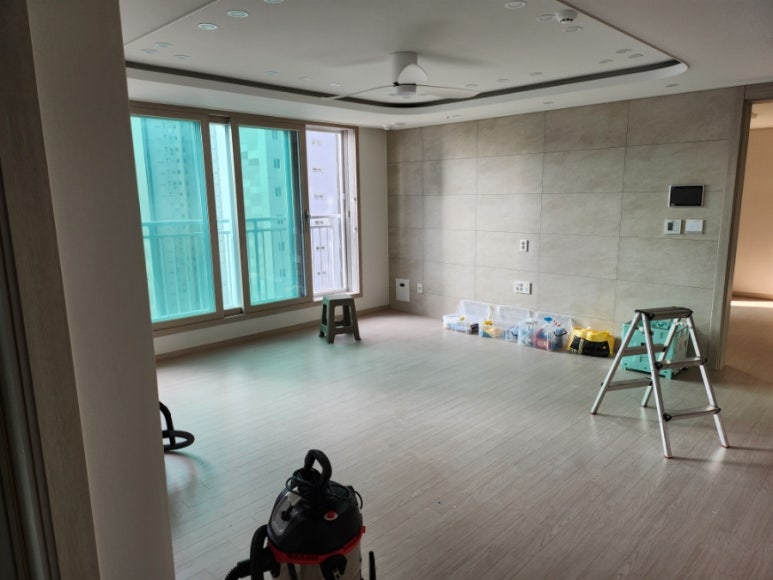 새집클로버 이미지
