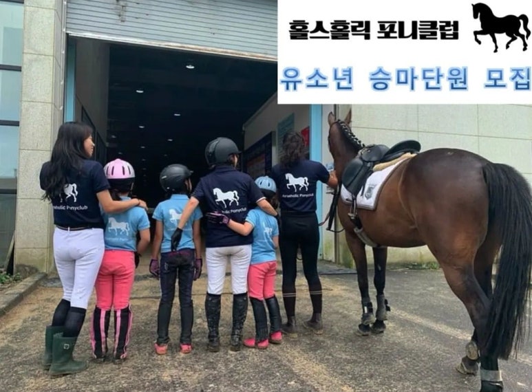 홀스홀릭포니클럽 이미지