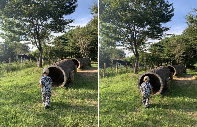 영산강대상근린공원 유아숲체험원 이미지