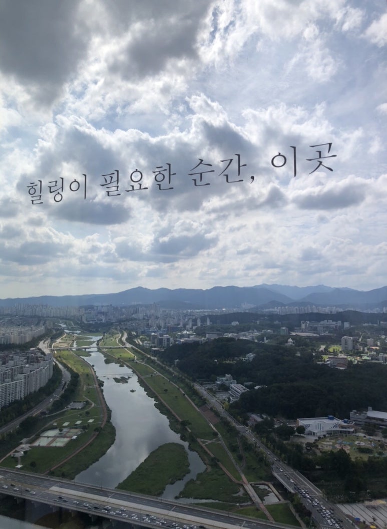 신세계SJSJ 이미지