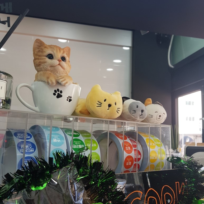 샌드리아 이미지