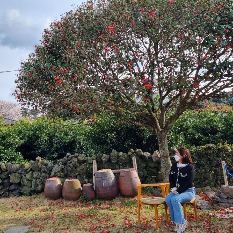 별하다방 이미지
