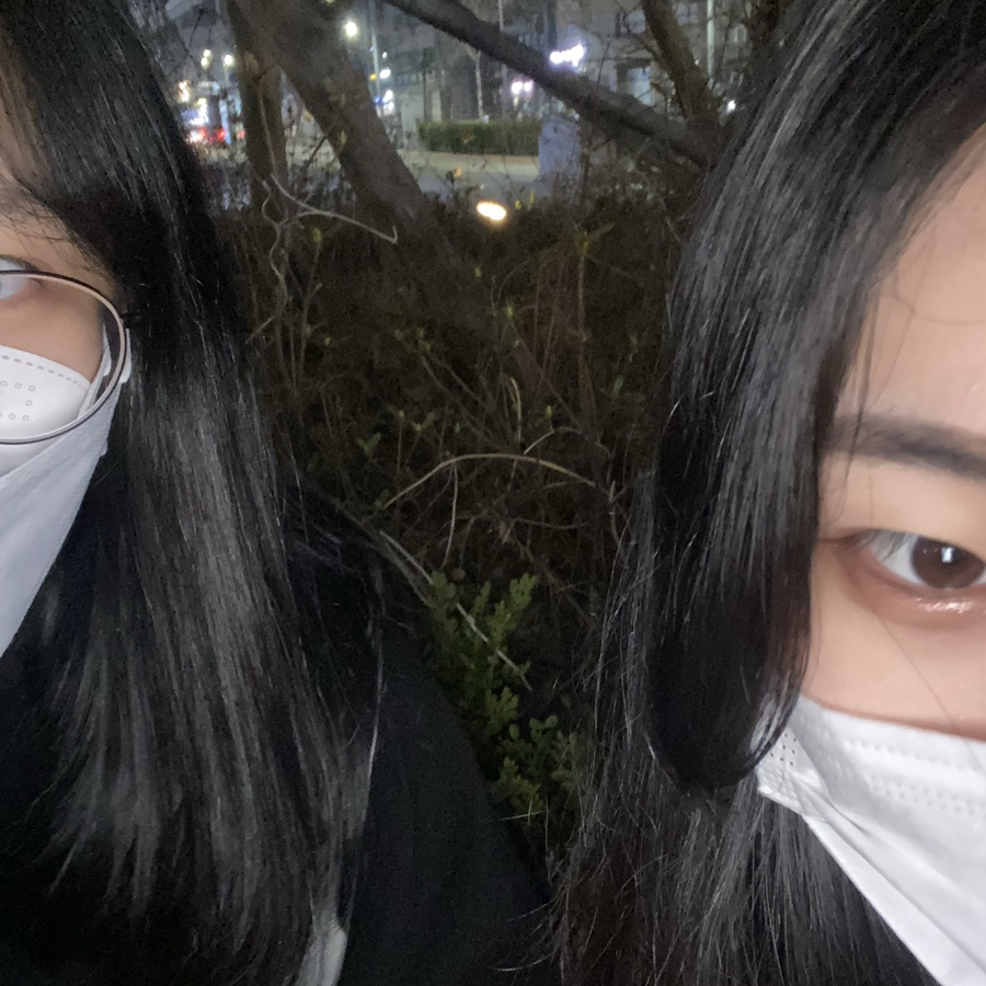 팬더리아 이미지