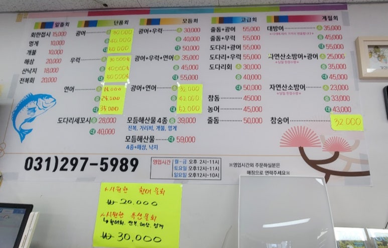 회조아 이미지