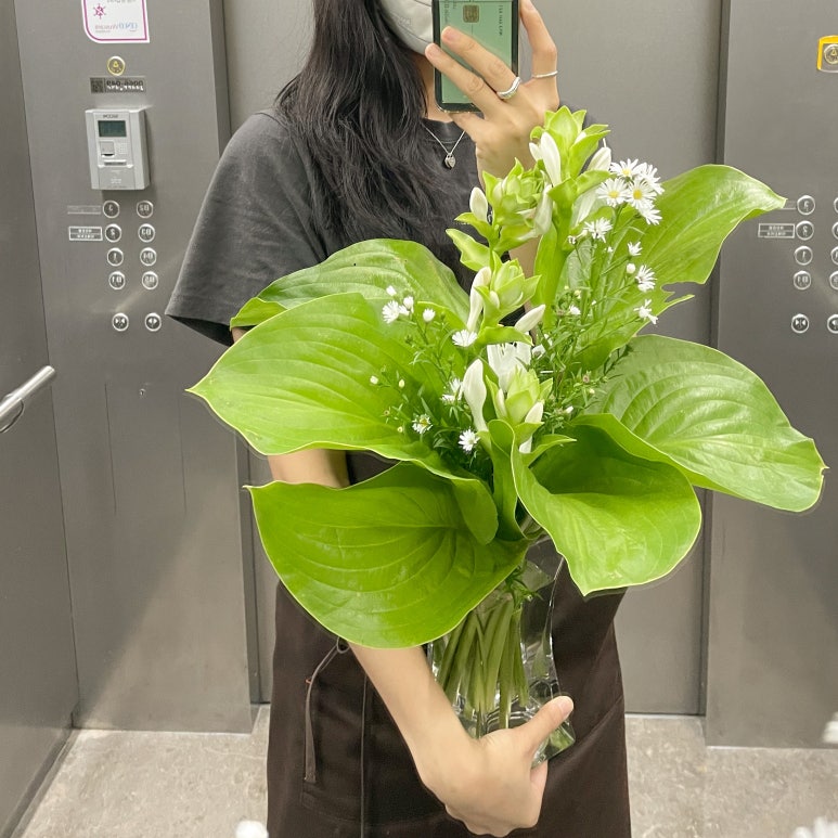 일로플라워 이미지