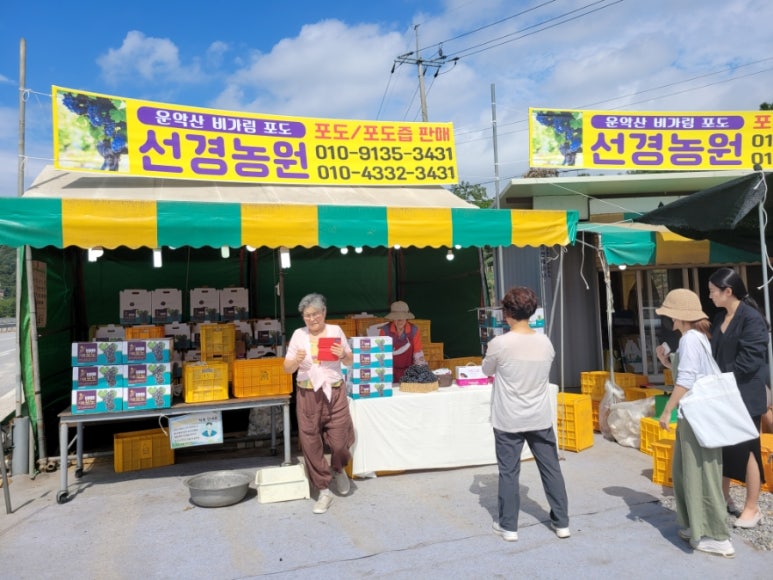 선경주유소 이미지