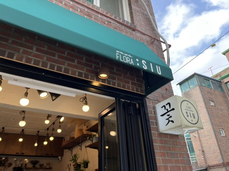 플로라시우 이미지