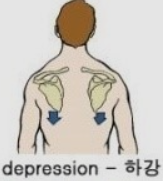 어게인핏 이미지