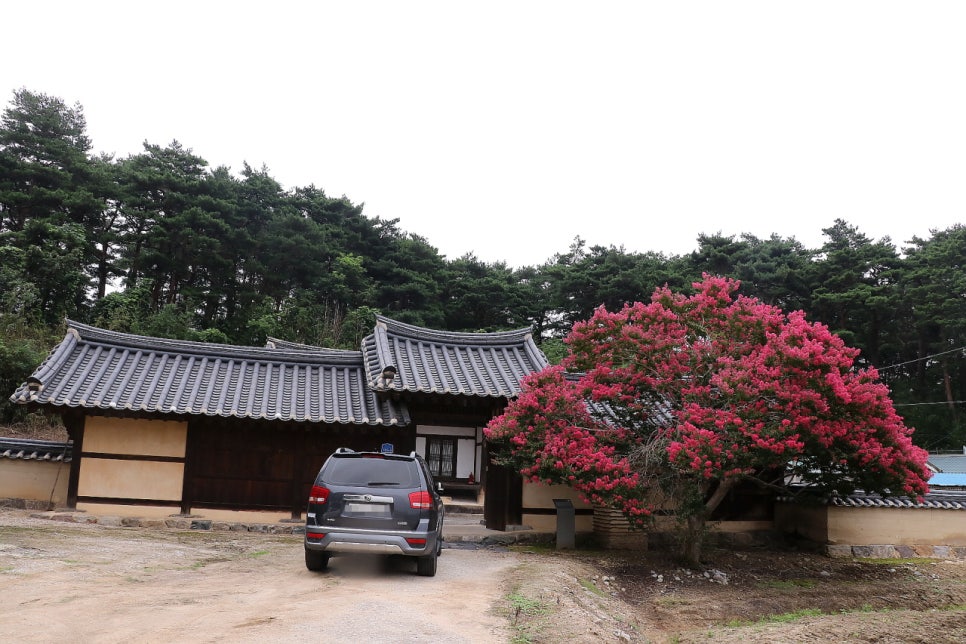 동원최군 이미지