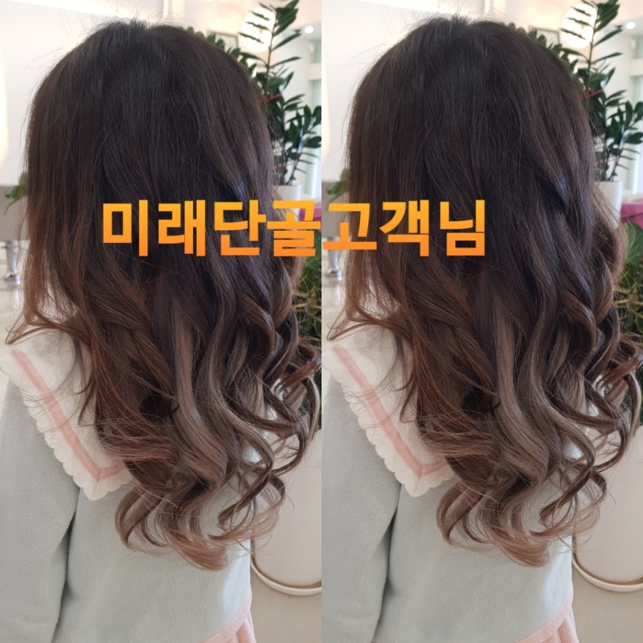 둔전손칼국수 이미지