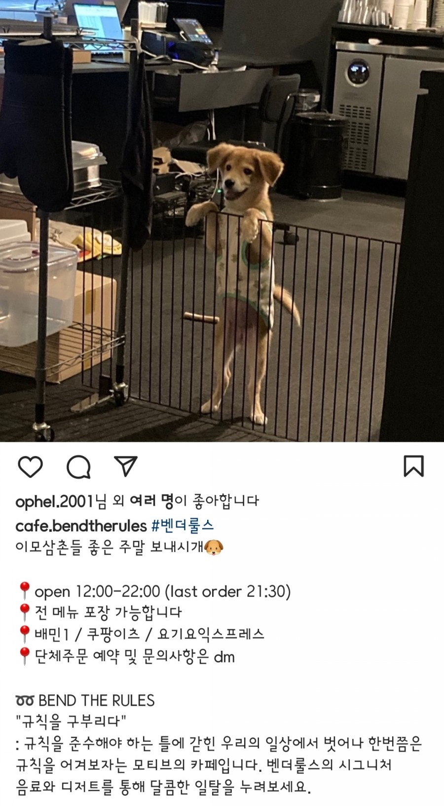 벤더룰스 이미지