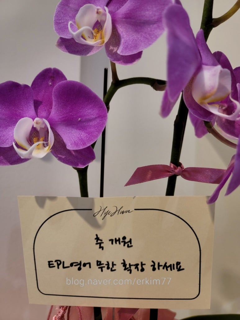 이피엘영어학원 이미지