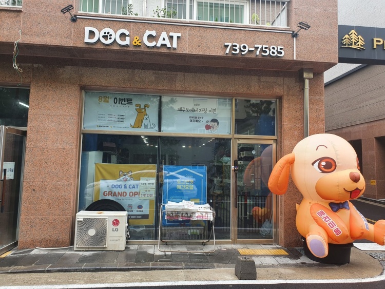우리전기조명 이미지