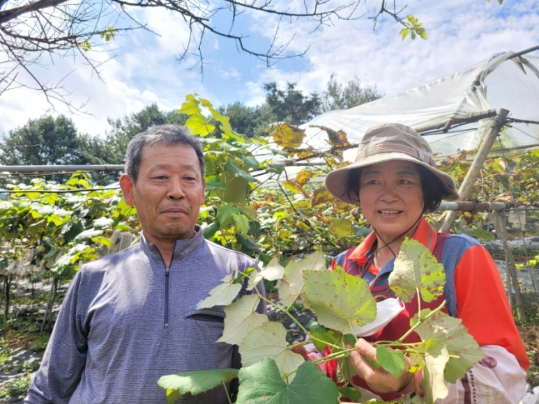 선경주유소 이미지