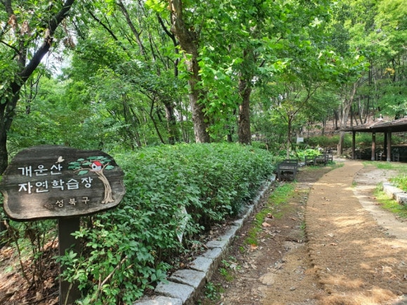 개운산 자연학습장 이미지