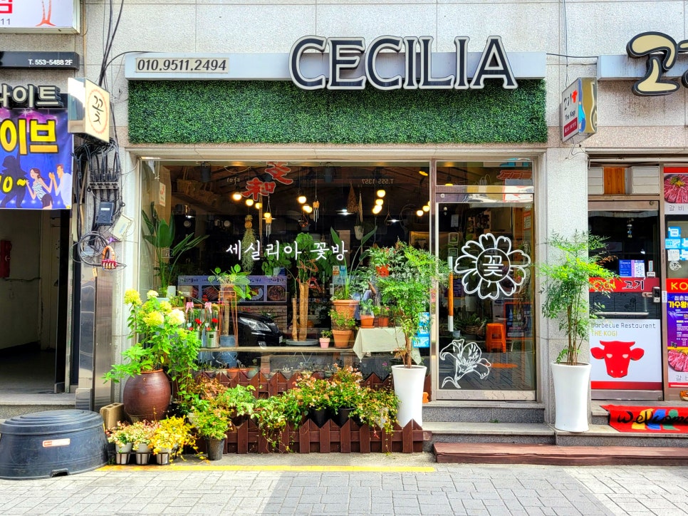 세실리아꽃방 이미지