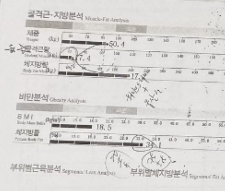 담트 이미지