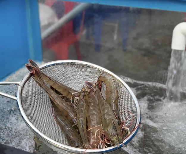 맥반BBQ 이미지