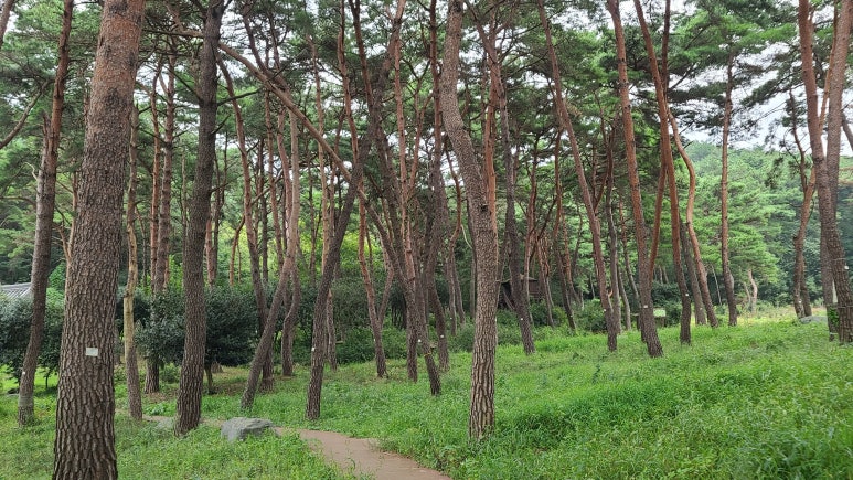 구산발효협동조합 이미지