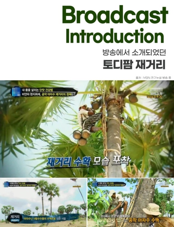 토디 이미지