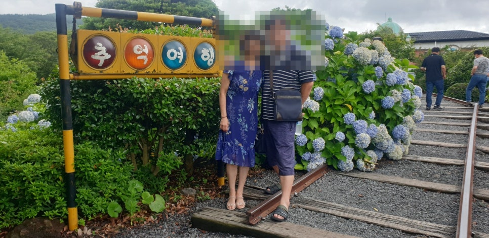 제주미즈리 이미지