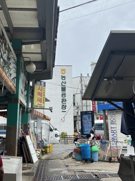 통영서광수산 이미지
