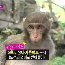 아이컨택 이미지