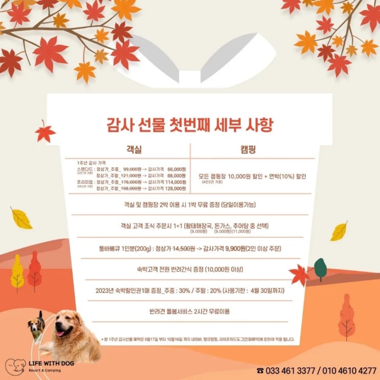 라이프위드도그 이미지