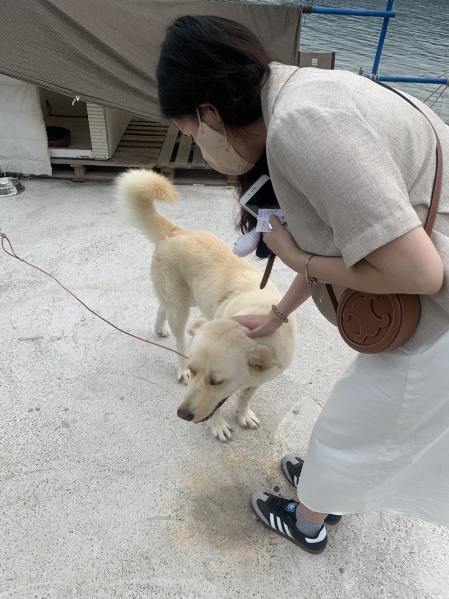 고성수산 이미지