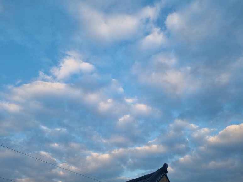 김천상회 이미지