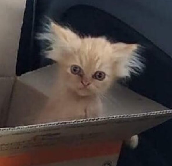 도토리편백집 이미지