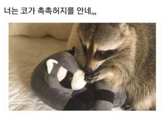 세븐 무도학원 이미지
