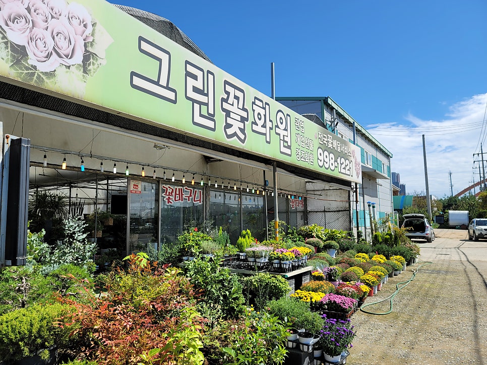 그린꽃화원 이미지