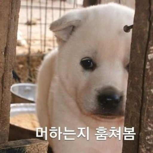 윤가네칼국수 이미지