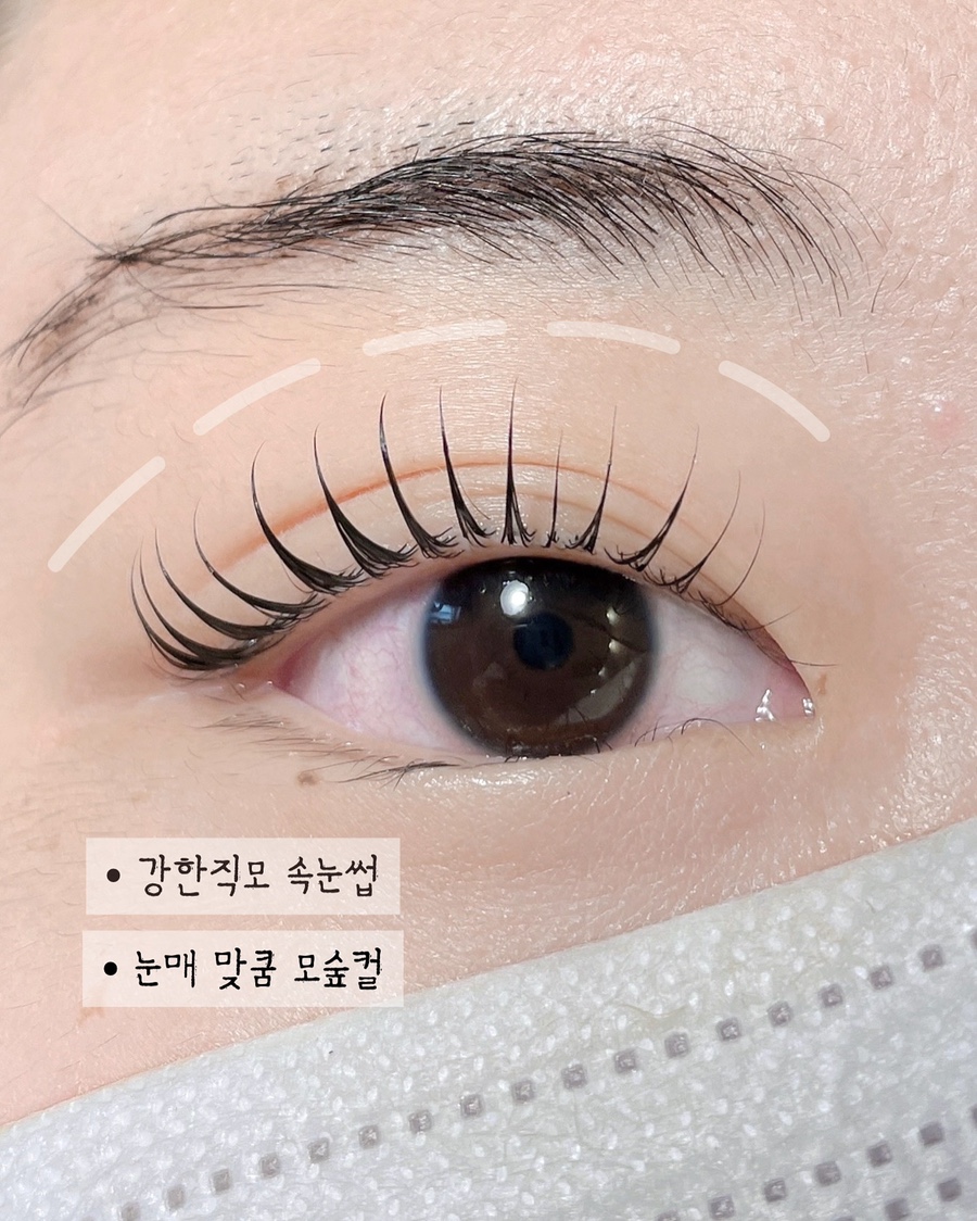 모숲 이미지