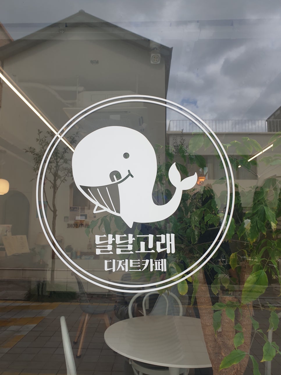 더카페인달달 이미지
