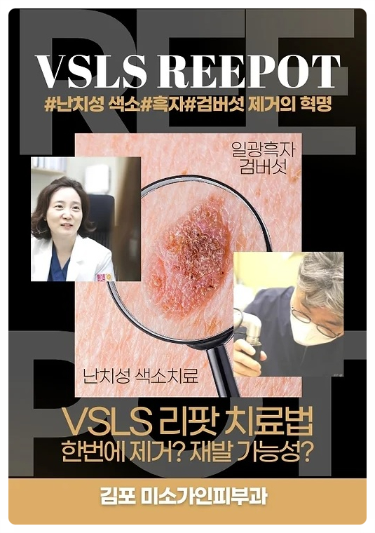 미소가인 이미지