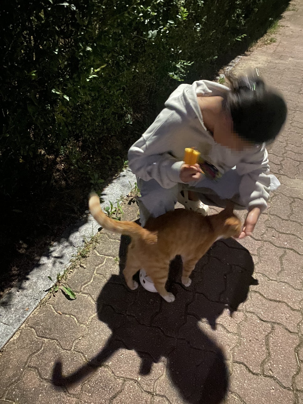 벨몽드참참참스넥 이미지