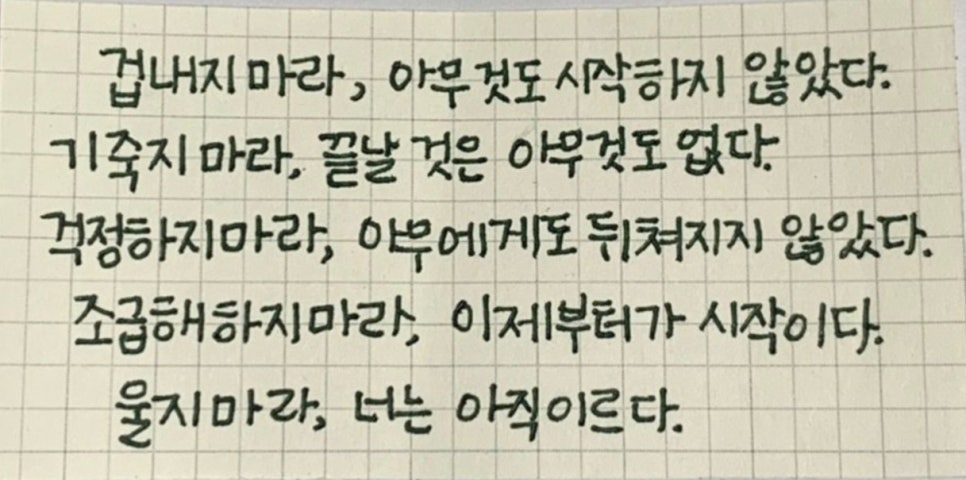비슬한우식육식당 이미지