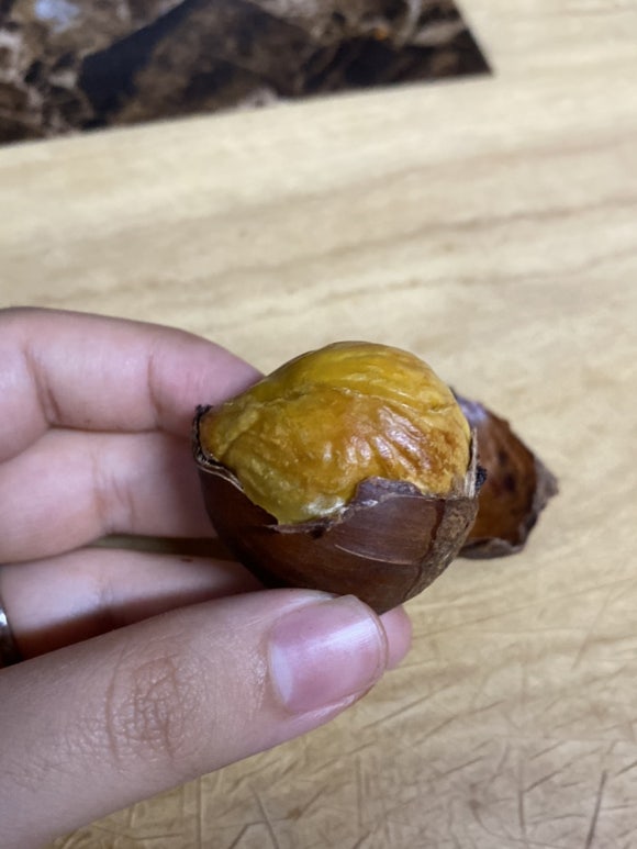 림스치킨춘천1호점 이미지